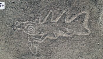 Forscher entdecken mittels KI auf einen Schlag Hunderte Nazca-Bilder