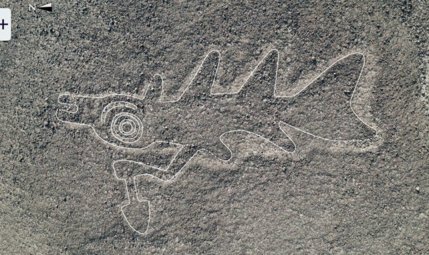 Forscher entdecken mittels KI auf einen Schlag Hunderte Nazca-Bilder