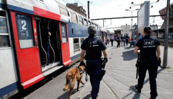 Des agents de la police ferroviaire de la SNCF à côté d'une rame du RER D à la gare de Juvisy-sur-Orge, dans l'Essonne, en 2012