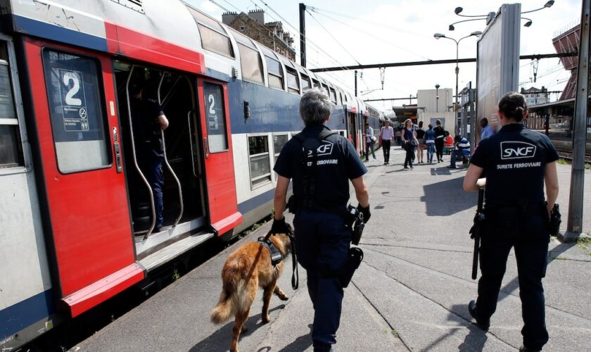 Des agents de la police ferroviaire de la SNCF à côté d'une rame du RER D à la gare de Juvisy-sur-Orge, dans l'Essonne, en 2012