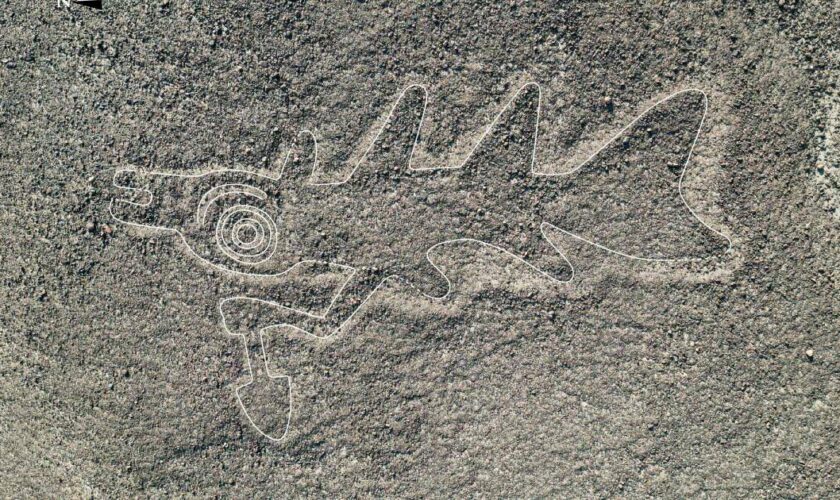 Plus de 300 nouveaux géoglyphes découverts à Nazca