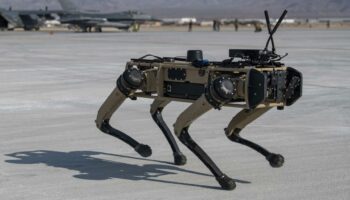 Vorbild US-Militär – Jetzt vergrößert die Bundeswehr ihr Rudel an Roboterhunden