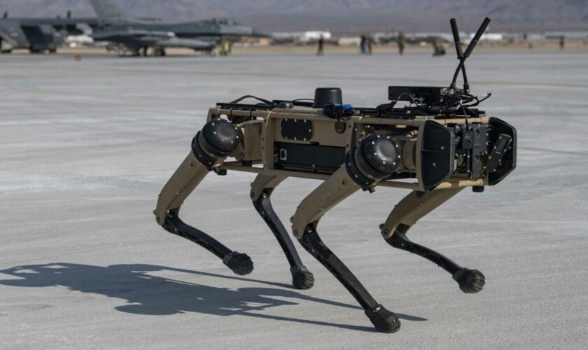 Vorbild US-Militär – Jetzt vergrößert die Bundeswehr ihr Rudel an Roboterhunden