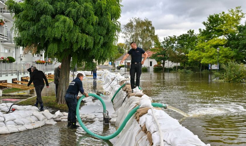 Brandenburg: Hochwasserlage in Brandenburg laut Dietmar Woidke im Griff