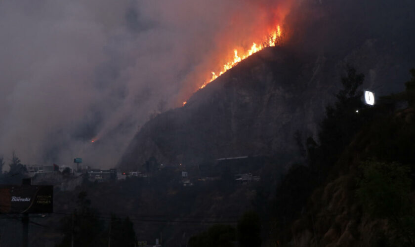 En Équateur, des incendies de forêt menacent la capitale Quito