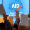 AfD in Umfrage deutlich vor CDU und regierender SPD, BSW legt zu