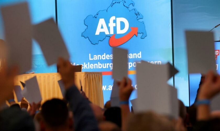 AfD in Umfrage deutlich vor CDU und regierender SPD, BSW legt zu