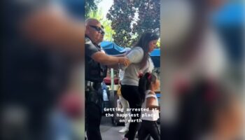 Woman arrested at Disneyland for failing to show ID: video