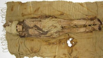 World's oldest cheese found on Chinese mummy