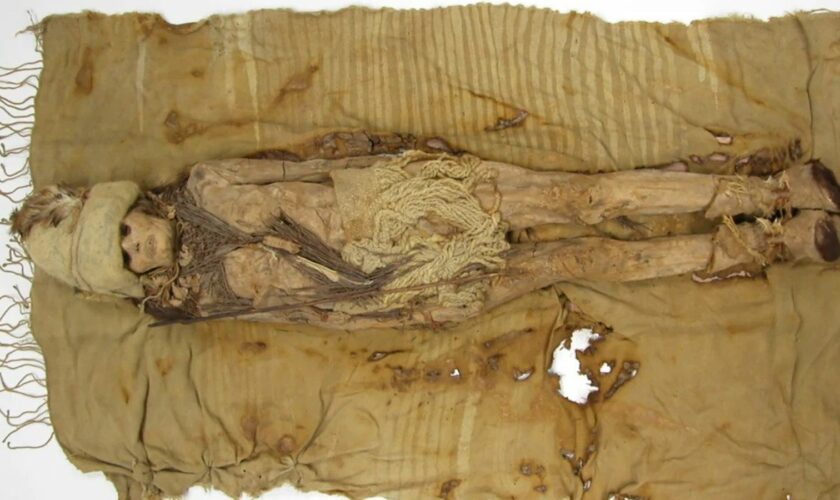 World's oldest cheese found on Chinese mummy