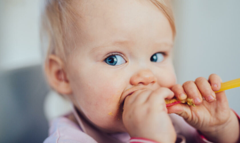 Cuillère à salade, courge... Ces étonnants « doudous » d’enfant racontés par les parents