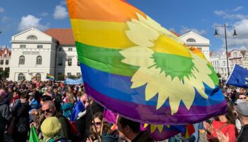 AfD sorgt mit Äußerungen über queere Menschen für Eklat – Landtagssitzung abgebrochen