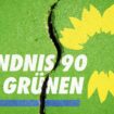 Chefs der Grünen Jugend in Bayern und Niedersachsen verlassen die Partei