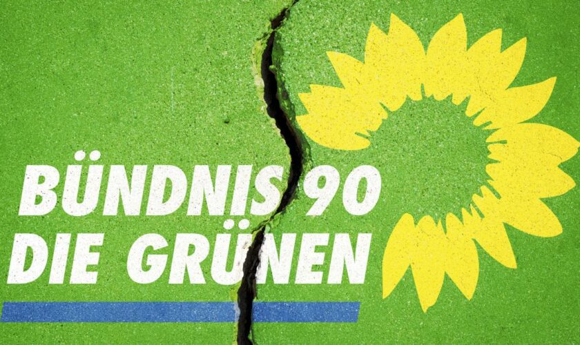 Chefs der Grünen Jugend in Bayern und Niedersachsen verlassen die Partei