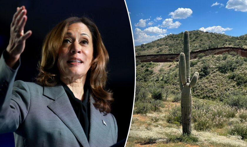 Harris visits crucial border state as immigration record sparks scrutiny: A timeline