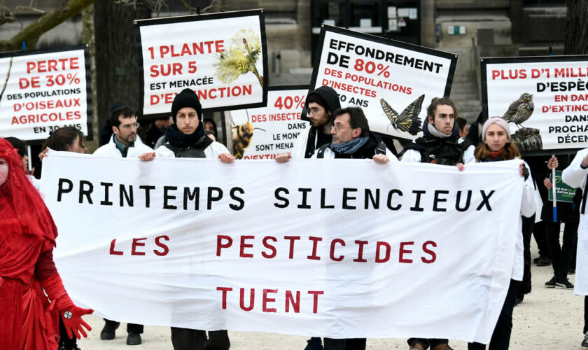 L’industrie agrochimique fiche les personnalités critiques des pesticides et des OGM