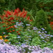 Les jardiniers recommandent de planter ces fleurs dès maintenant pour un jardin coloré tout l'automne