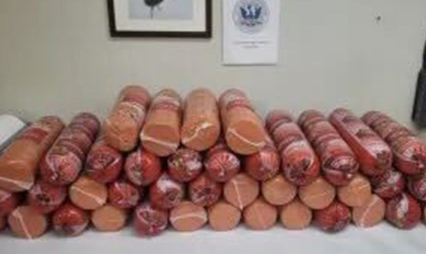 Woman caught smuggling more than 700 pounds of bologna at southern border: CBP