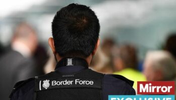 Record number of Border Force staff face corruption probes with dozens suspended