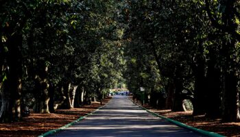 Augusta National assesses damage to course after ‘catastrophic and historic impact’ of Hurricane Helene