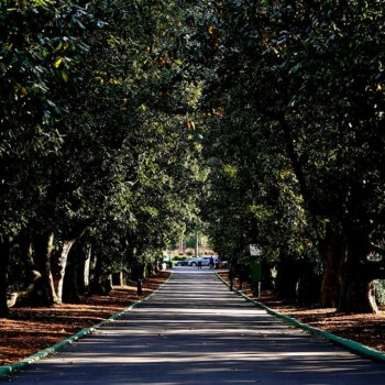 Augusta National assesses damage to course after ‘catastrophic and historic impact’ of Hurricane Helene