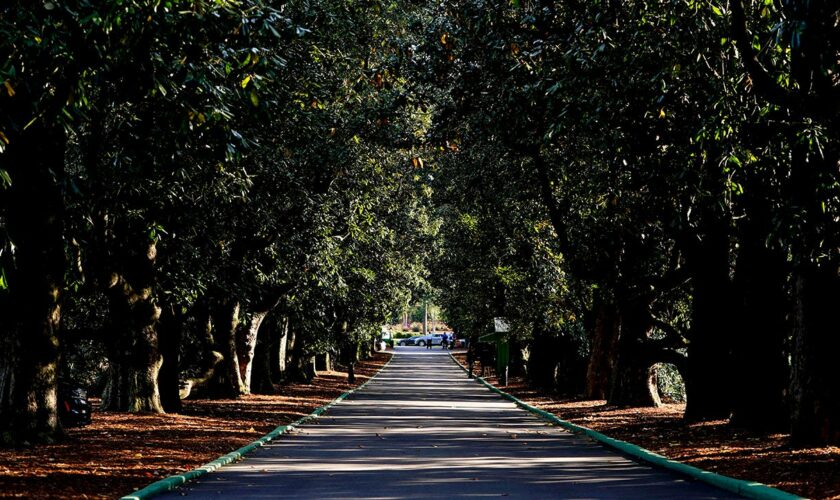 Augusta National assesses damage to course after ‘catastrophic and historic impact’ of Hurricane Helene