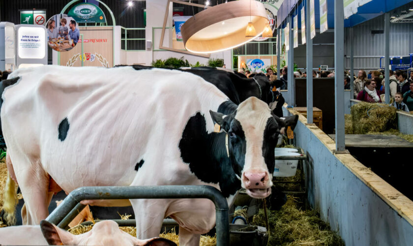 Lactalis va considérablement réduire sa collecte de lait dans les fermes françaises à partir de fin 2024