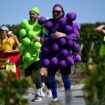 Mon Marathon du Médoc, la course que seuls les Français pouvaient inventer