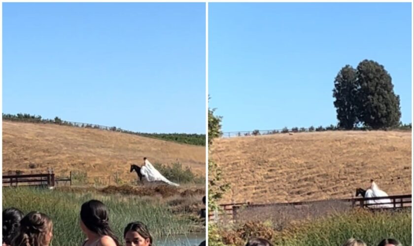 Bride’s family goes wild as she makes dramatic wedding entrance