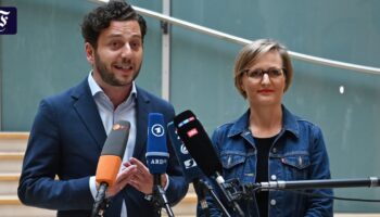 Führung bei den Grünen: Nur die Grüne Jugend rebelliert gegen die Neuaufstellung