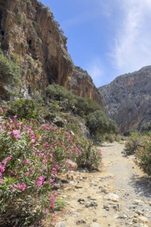 Deutscher Urlauber bei Wanderung auf Kreta gestorben