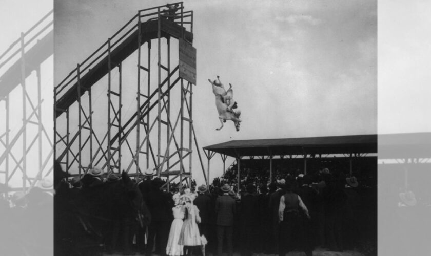 Le plongeon à cheval, l'attraction folle qui électrisa l'Amérique du Nord au début du XXe siècle