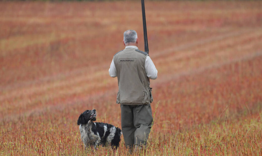 Loire : un chasseur tué d’une balle dans la tête lors d’une battue aux sangliers