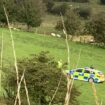 Boy, eight, dies after being shot at farm