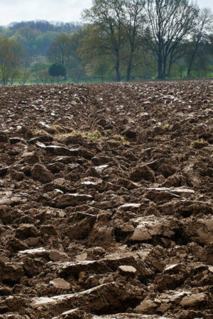 «Il faut savoir quelle agriculture on défend»