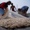 Takeaways from AP's report on how shrimp farmers are exploited as supermarkets push for low prices