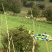 Police name boy, 8, who died after being shot on farm