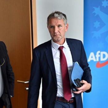 AfD in Deutschland: Angriff auf den Parlamentarismus