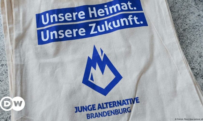 AfD und die Jungwähler: Zukunftsangst und Enttäuschung