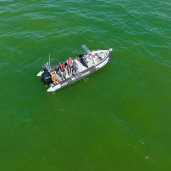 « Aidez-nous à repérer les blooms ! » : ces phénomènes d’eaux colorées sont surveillés en Charente-Maritime