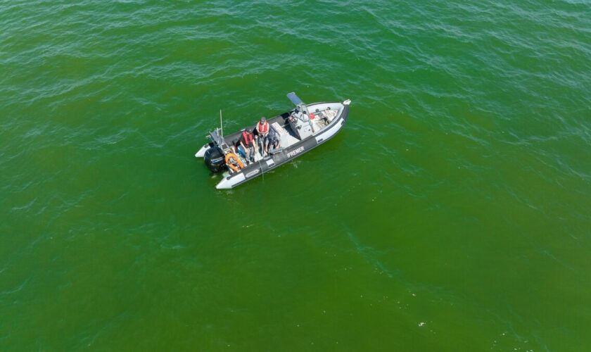 « Aidez-nous à repérer les blooms ! » : ces phénomènes d’eaux colorées sont surveillés en Charente-Maritime