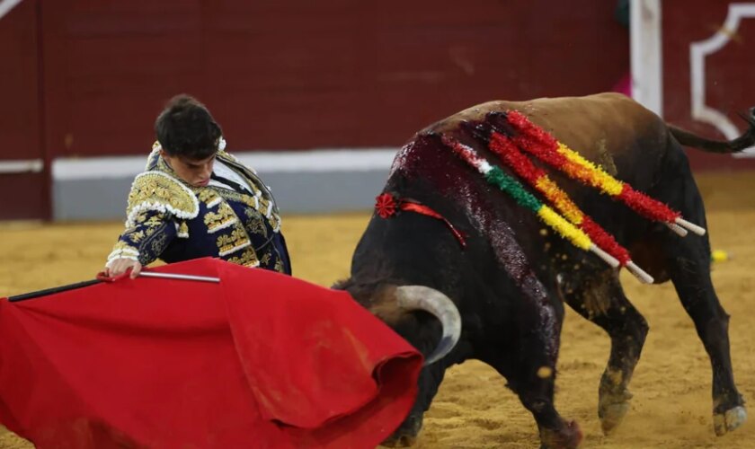 Alejandro Chicharro y Villaseca, la historia de triunfo se repite