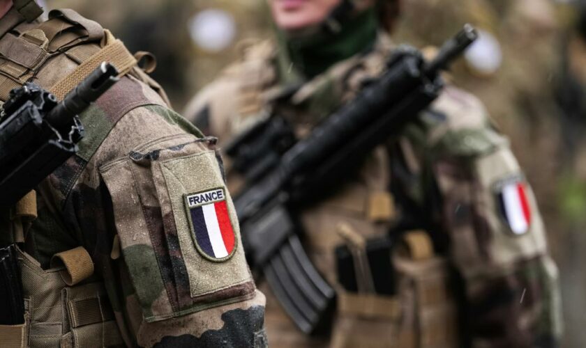 Armée de terre: la renaissance du génie