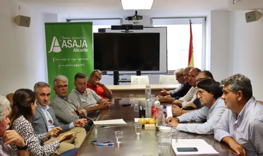 Asaja Alicante reclama medidas para la rentabilidad del campo y un cambio para la Xylella