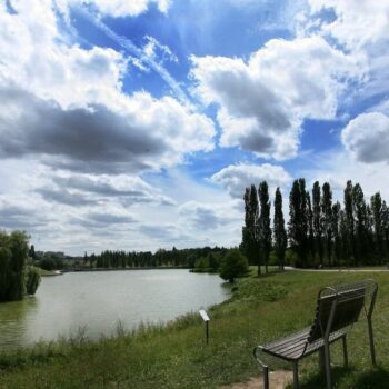 Aulnay-sous-Bois : des membres humains avec une chaussette découverts dans le parc du Sausset