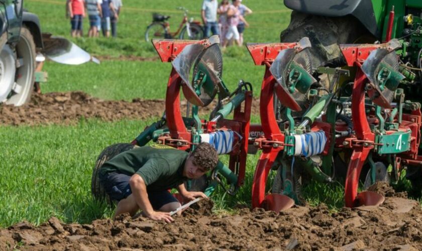 Junge Landwirte müssen heutzutage mit moderner Technik umgehen. Daher ist eine fundierte Ausbildung besonders wichtig. (Archivbi