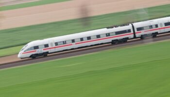 Ein umgestürzter Baum behindert den Bahnverkehr zwischen Peine und Hämelerwald. Foto: Julian Stratenschulte/dpa