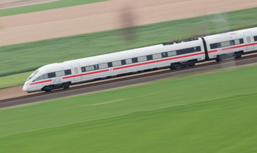 Ein umgestürzter Baum behindert den Bahnverkehr zwischen Peine und Hämelerwald. Foto: Julian Stratenschulte/dpa