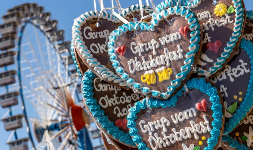 Bier, Schweinshaxe & Co.: Wiesn-Wahnsinn: So teuer ist der diesjährige Oktoberfestbesuch