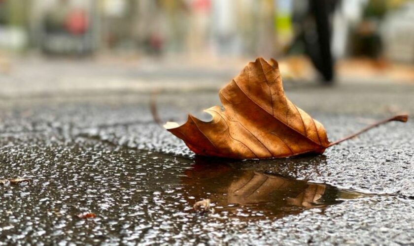 Wetterumschwung: Regen, Sturm und Schnee in Deutschland Foto: Henrich Linda/dpa